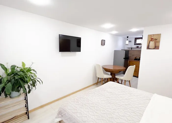 Charming Flat With Terrace